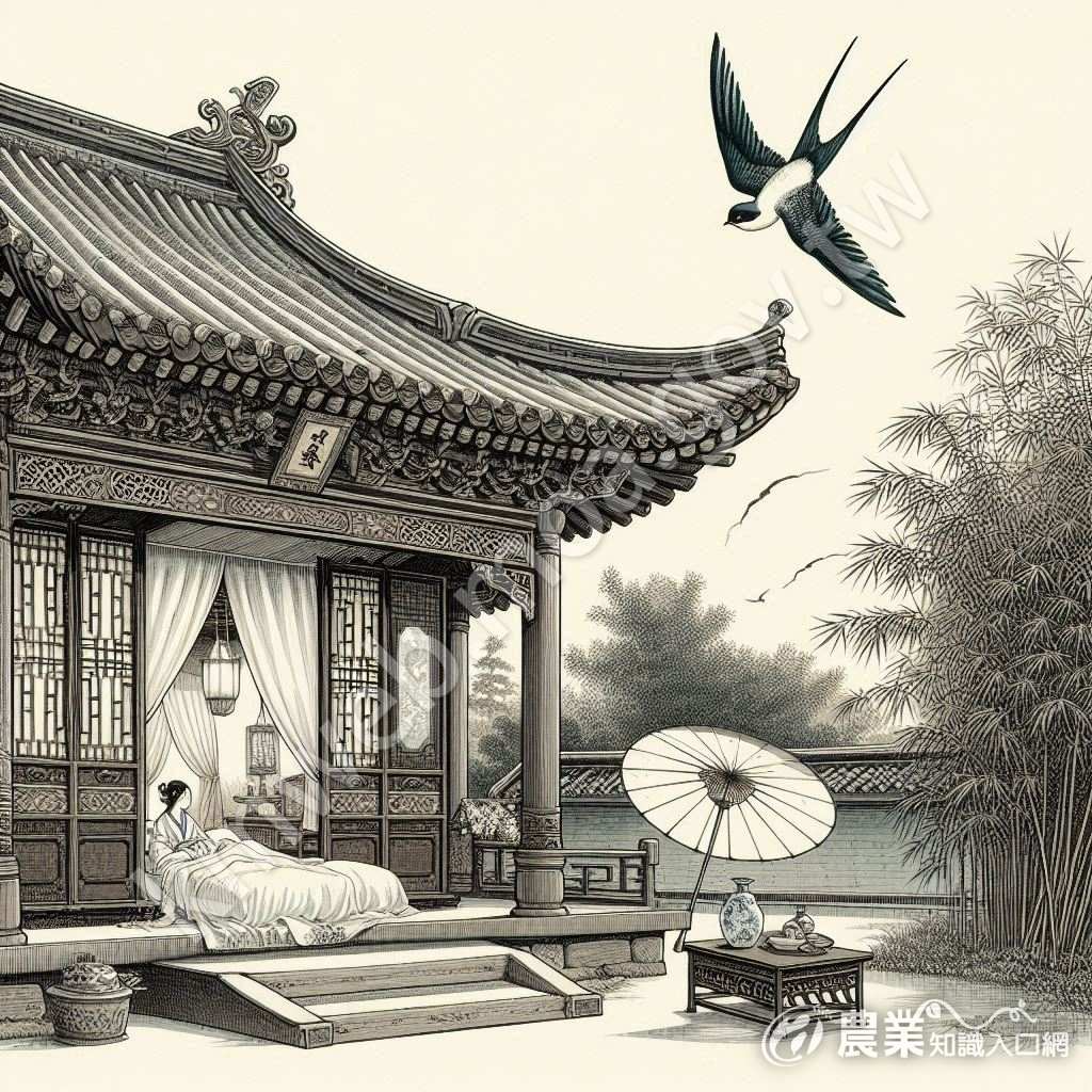 A02_1_(8)