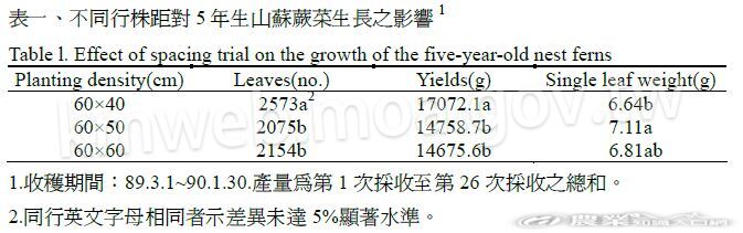 不同行株距對5年生山蘇蕨菜生長之影響