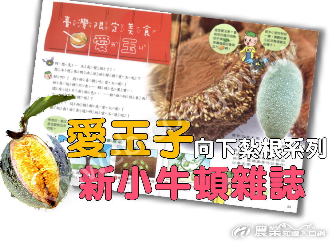 小牛頓