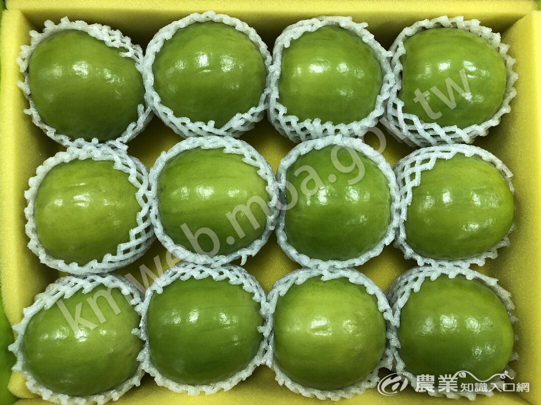 棗‵高雄12號-珍愛′評鑑冠軍果品