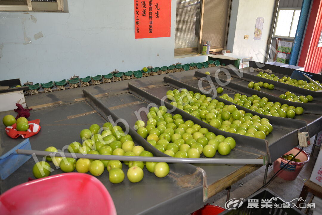 利用重量分級機分級