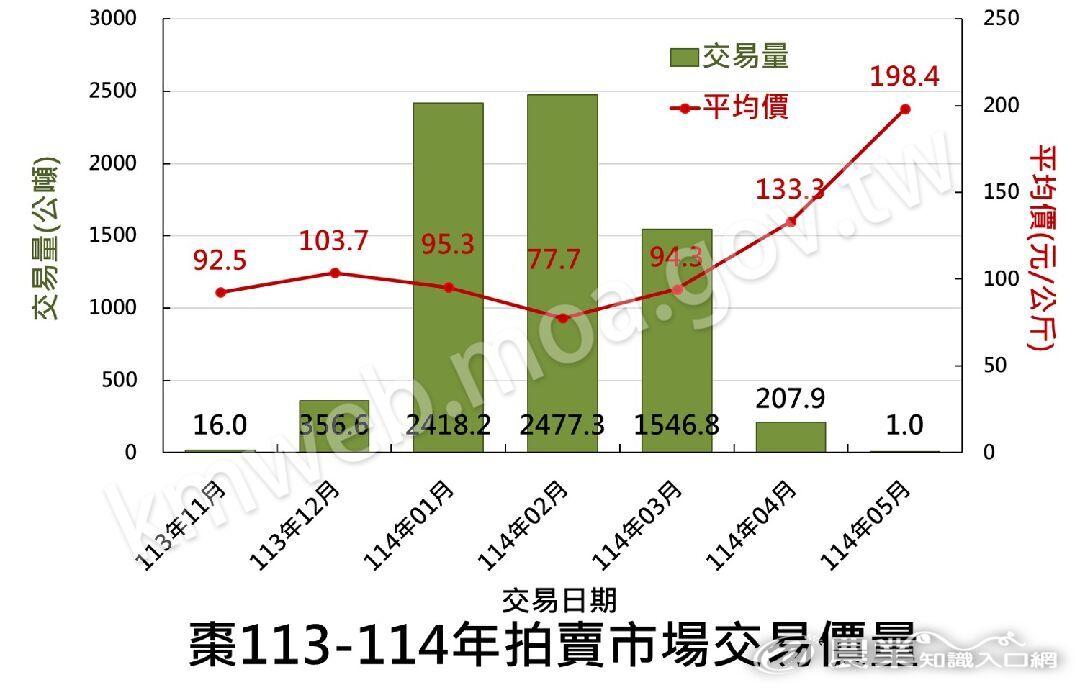 棗113年拍賣市場交易價量