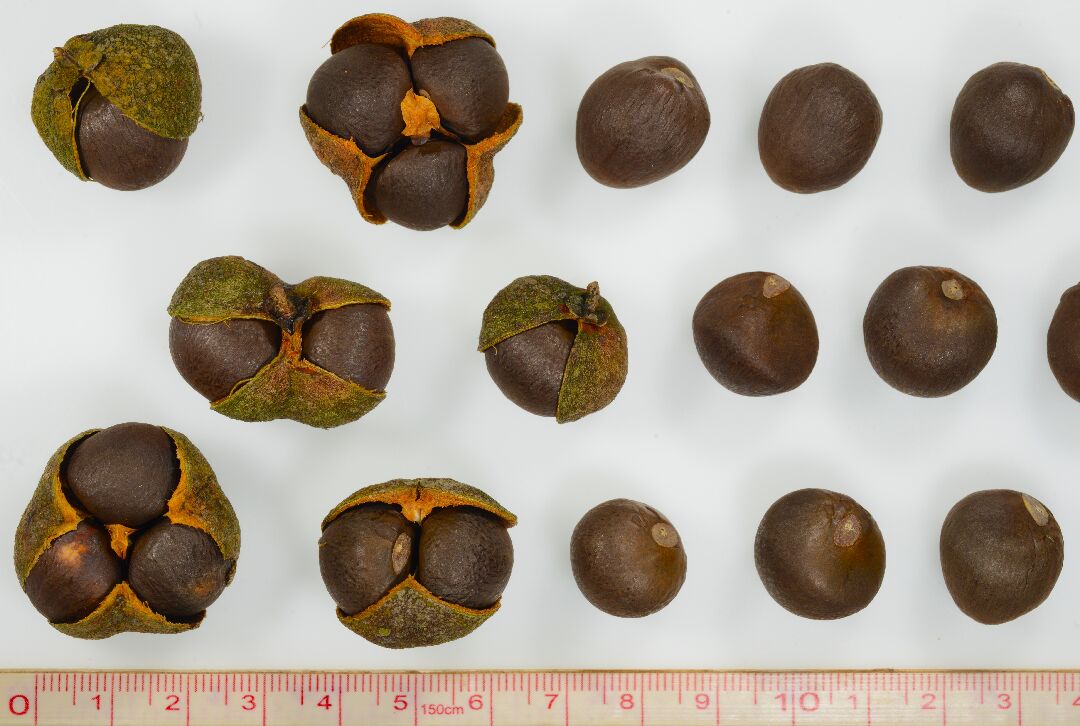 29a8d67d-bee0-4194-b54d-ed379c6dd520