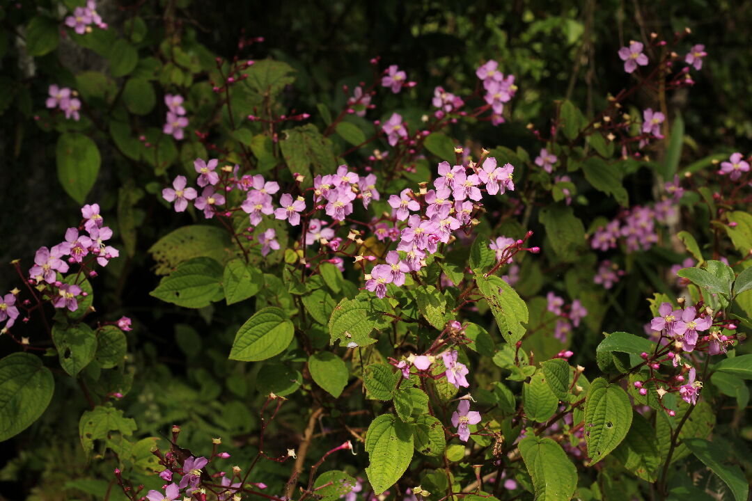 76ab8baf-15e0-487d-992d-7105ef17e402