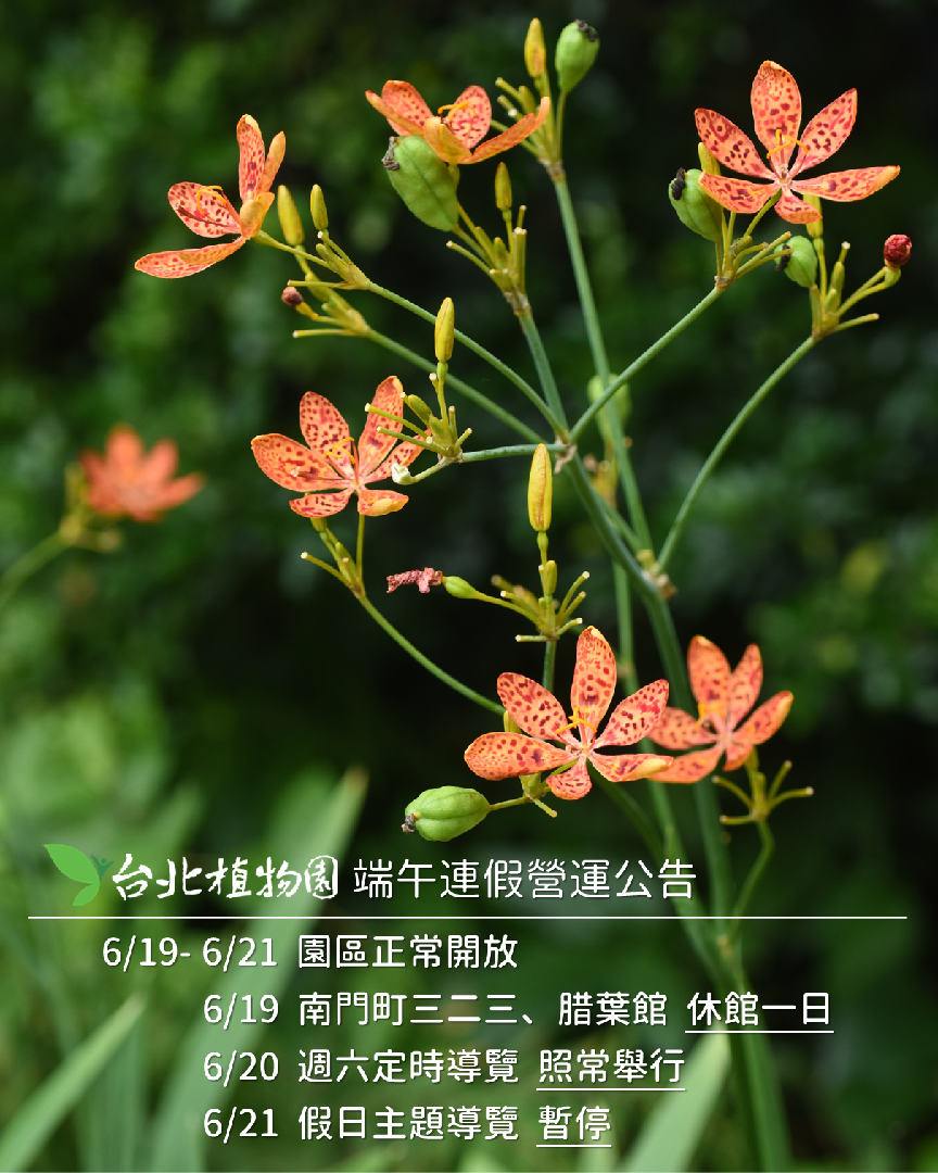 2026端午營運公告