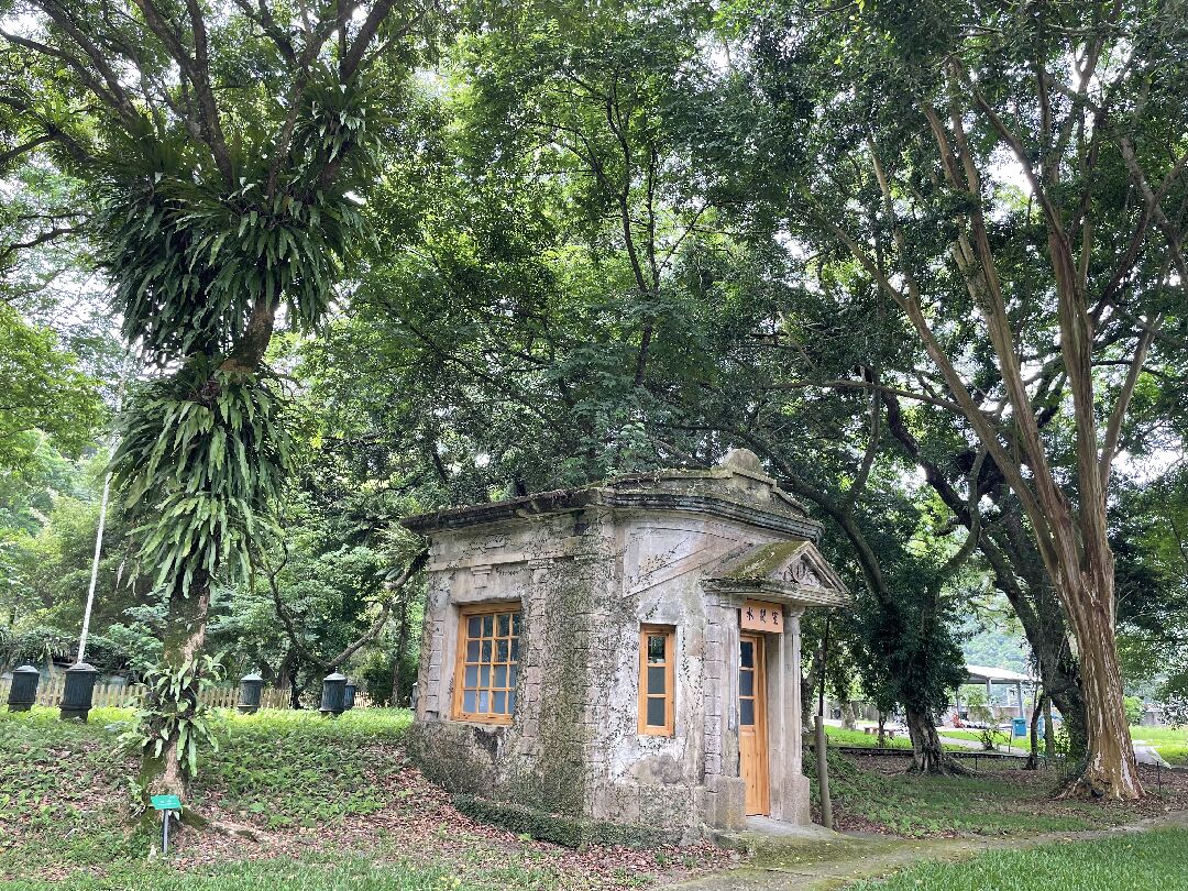 24e5e695-cef7-42af-a5df-9f108a126560