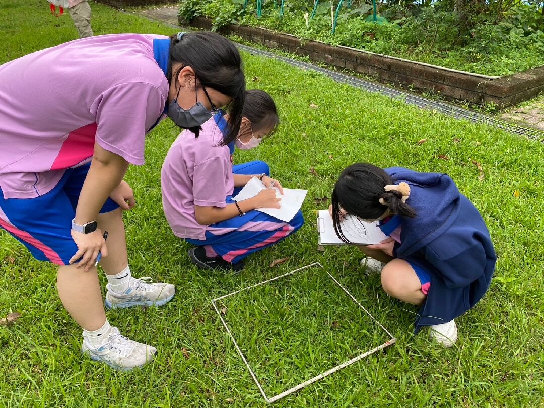 b816acdb-9477-4eb0-9818-b658ee60373c