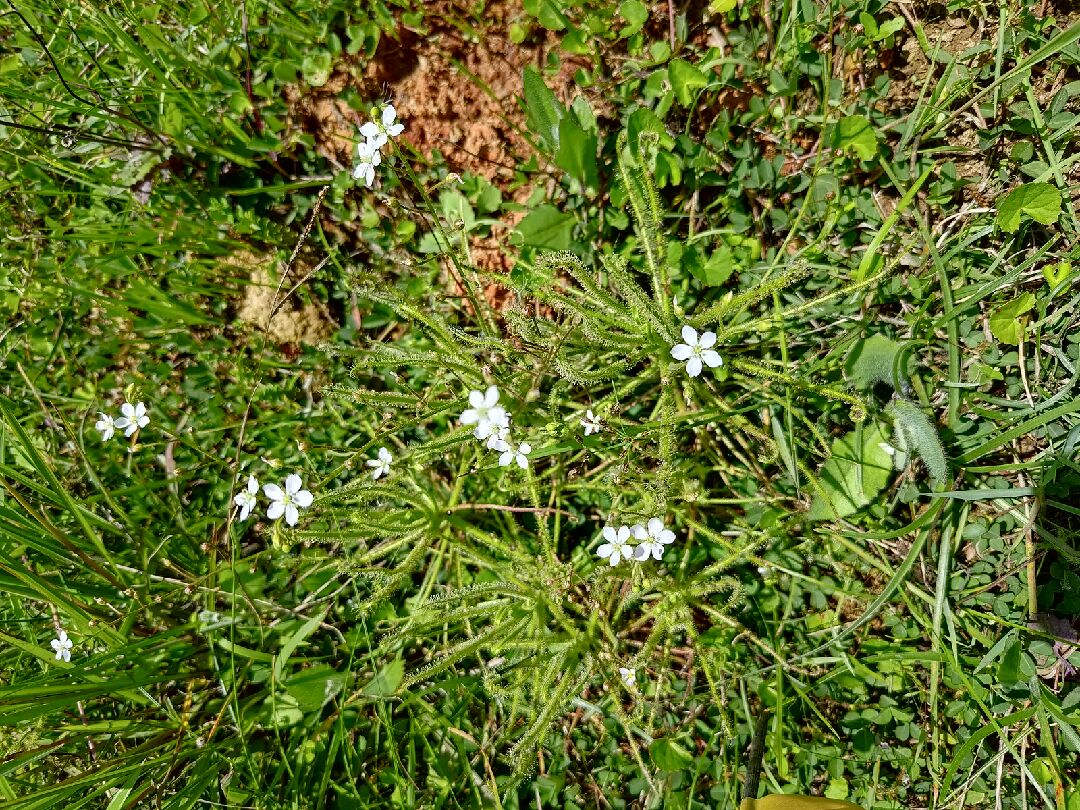 54837897686_8d787c7843_h_(1)