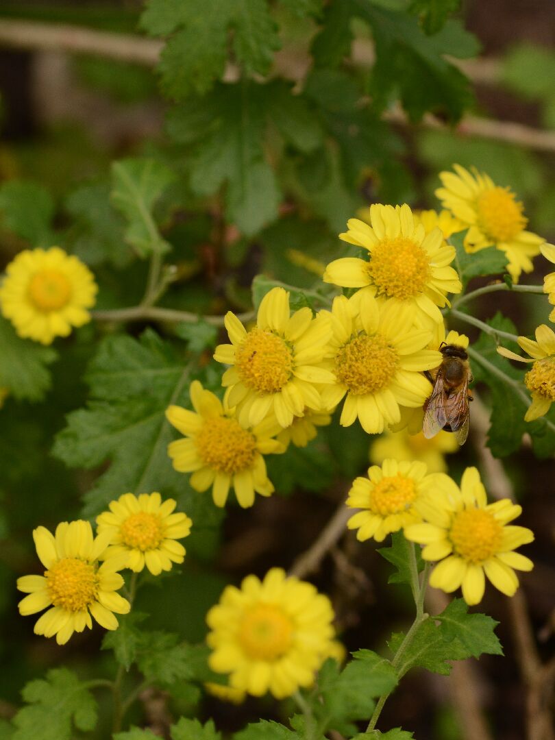 20241231020759_625279 20241231020759_625279