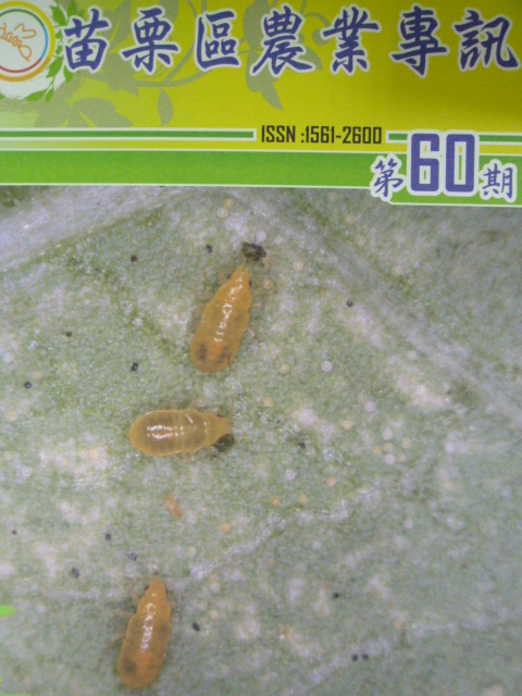 苗栗區農業專訊第60期(101/12)