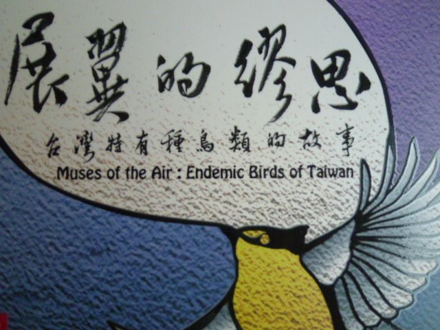展翼的繆思－台灣特有種鳥類的故事(DVD)