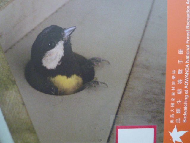 奧萬大國家森林遊樂區鳥類生態導覽手冊