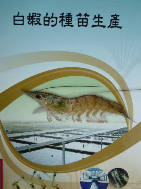 白蝦的種苗生產