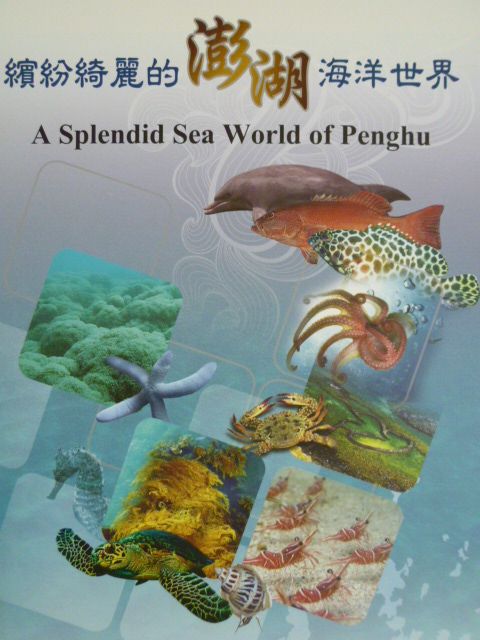 繽紛綺麗的澎湖海洋世界
