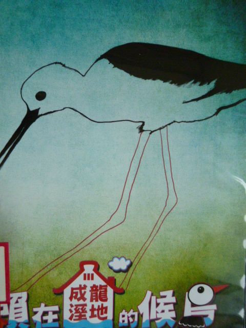 賴在成龍濕地的候鳥(DVD)