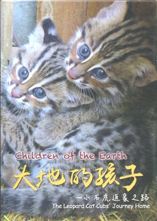 大地的孩子：小石虎返家之路(DVD)