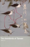 台灣的岸鳥