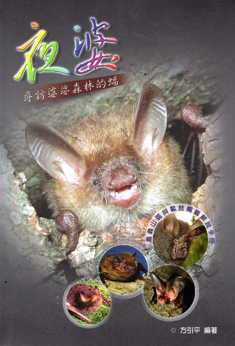 夜婆: 尋訪婆娑森林的蝠