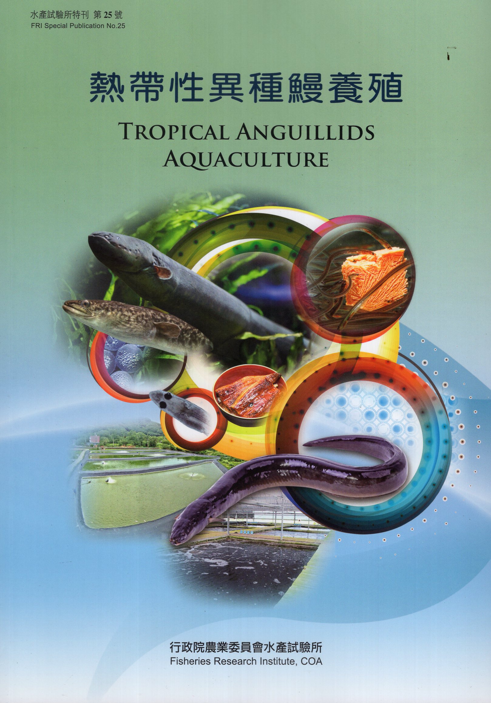 熱帶性異種鰻養殖