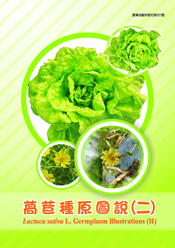 萵苣種原圖說(二)/Lactuca sativa L. Germplasm Illustrations (II)