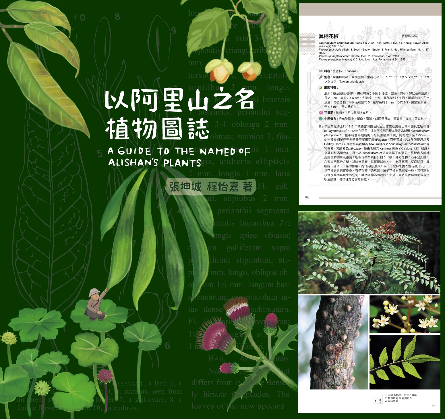 以阿里山之名植物圖誌