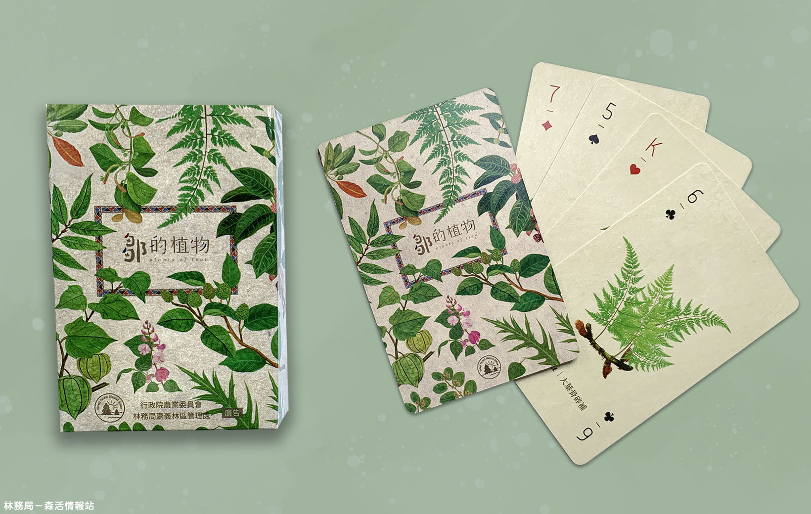 「鄒的植物」撲克牌