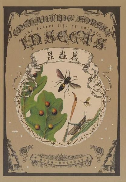 魔法森林—動物生命的秘密 昆蟲篇