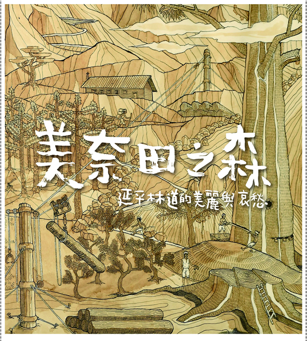 美奈田之森-延平林道的美麗與哀愁