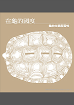 在龜的國度