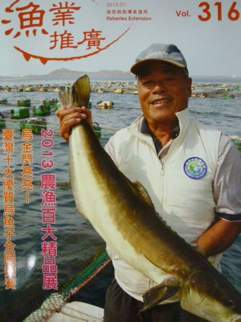 漁業推廣第316期(102/01)