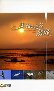 美麗的意外─鰲鼓