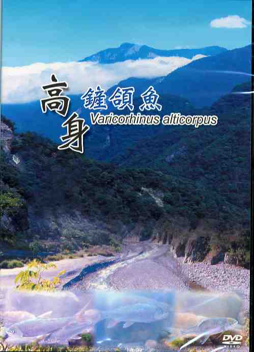 高身鏟頜魚DVD