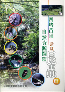 四堵苗圃自然資源圖鑑-常見昆蟲篇