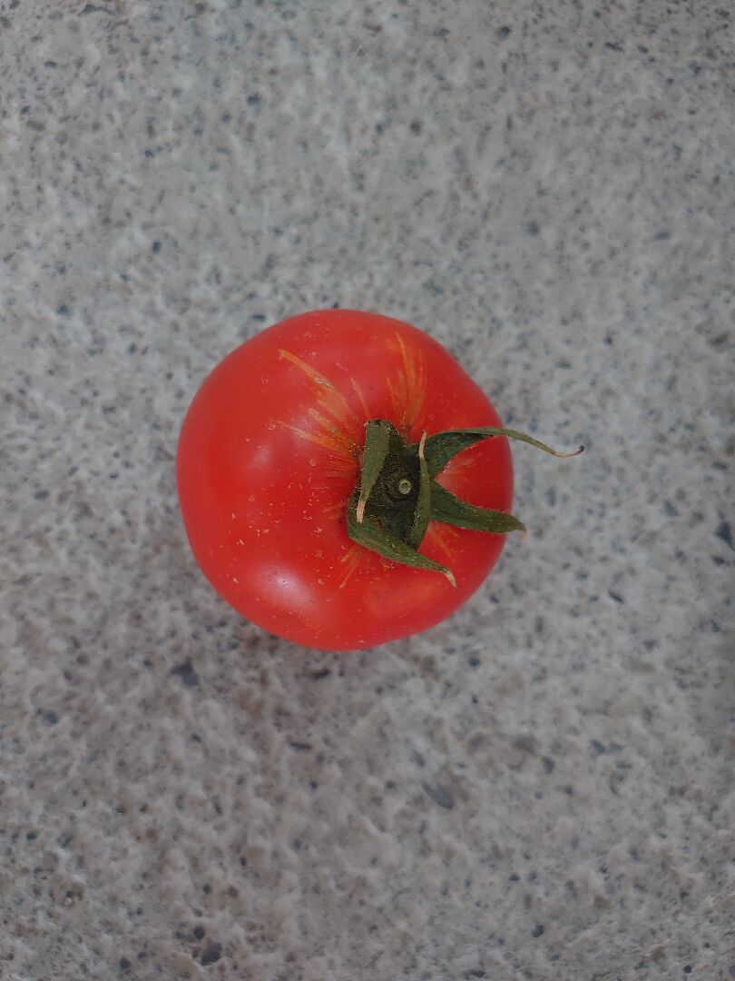 番茄為何會有線條