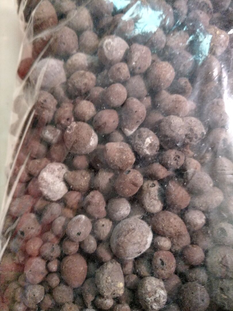 發泡煉石為什麼泛白