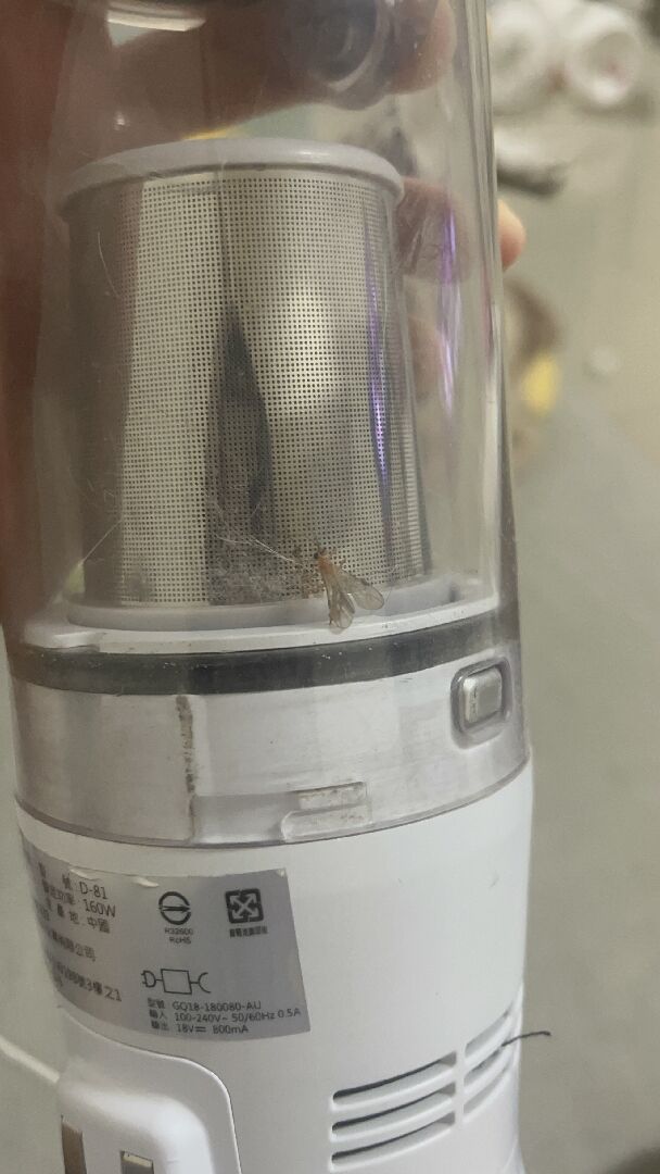 請問這個幼蟲有毒嗎