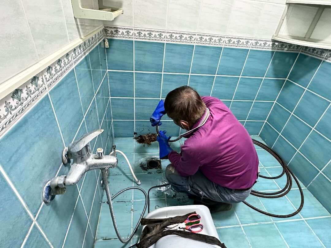 榕樹根侵入地基