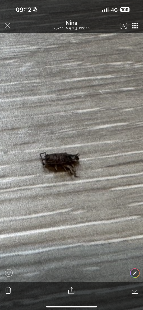 請問這是什麼蟲？