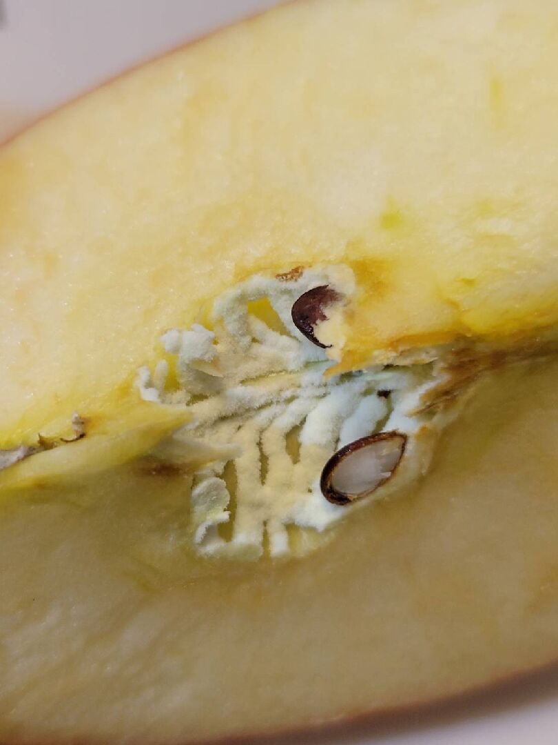 蘋果果核有白色絨毛，可以吃嗎