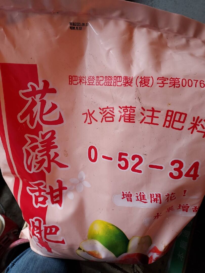 請問酪梨修剪完可以噴高磷鉀嗎