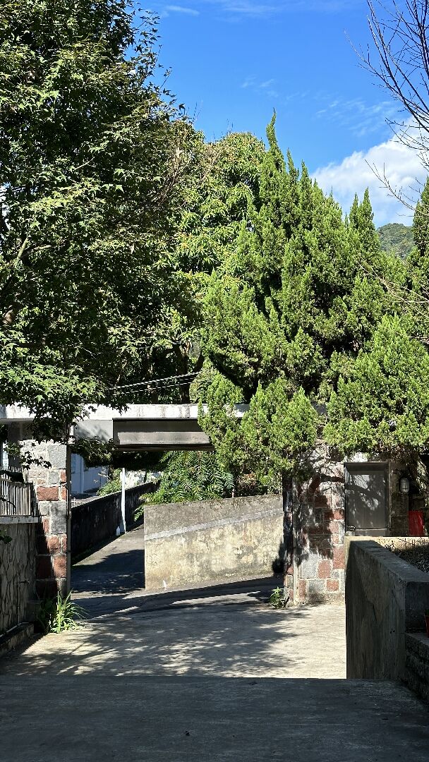 龍柏被鋸成這樣還會長回來嗎？