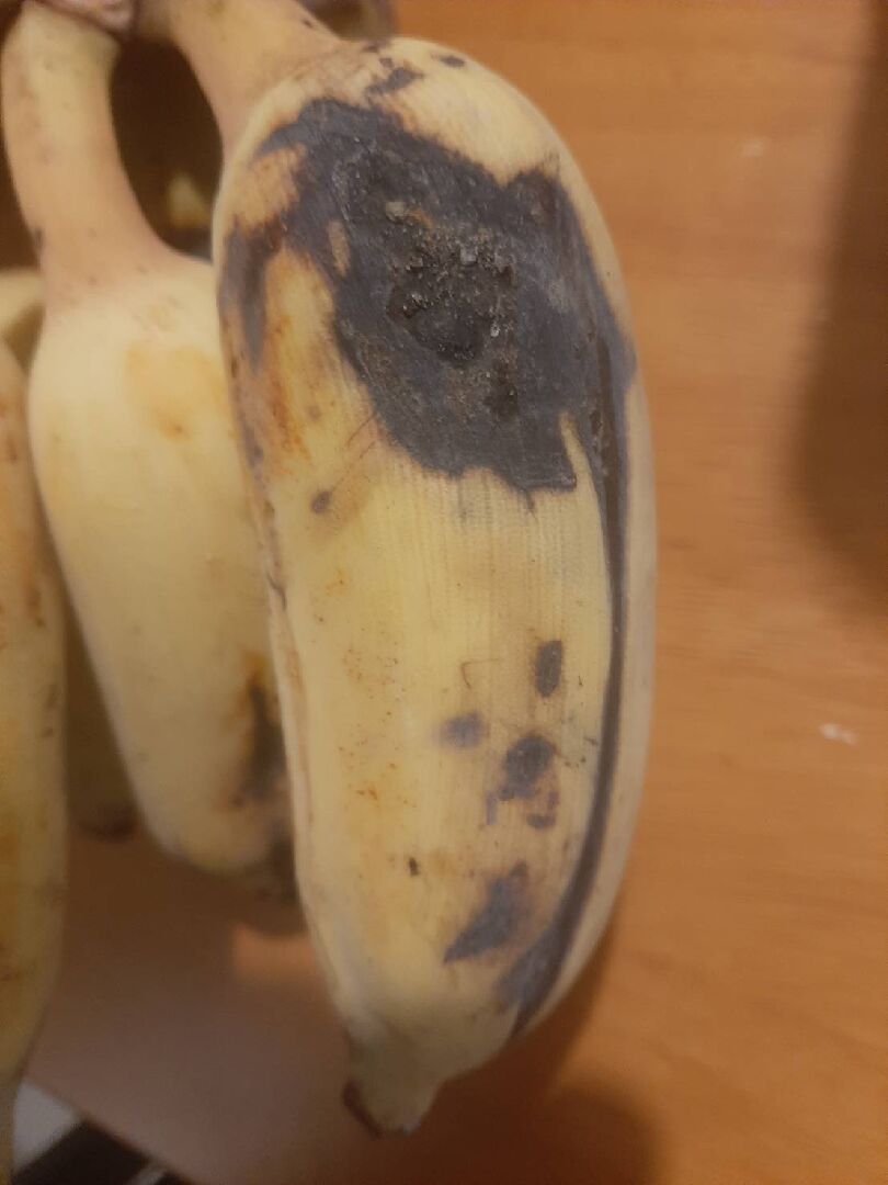 芭蕉表皮黑塊