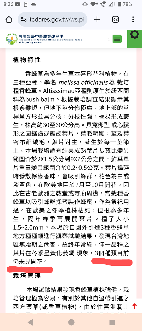 請問檸檬香蜂草會開花嗎？
