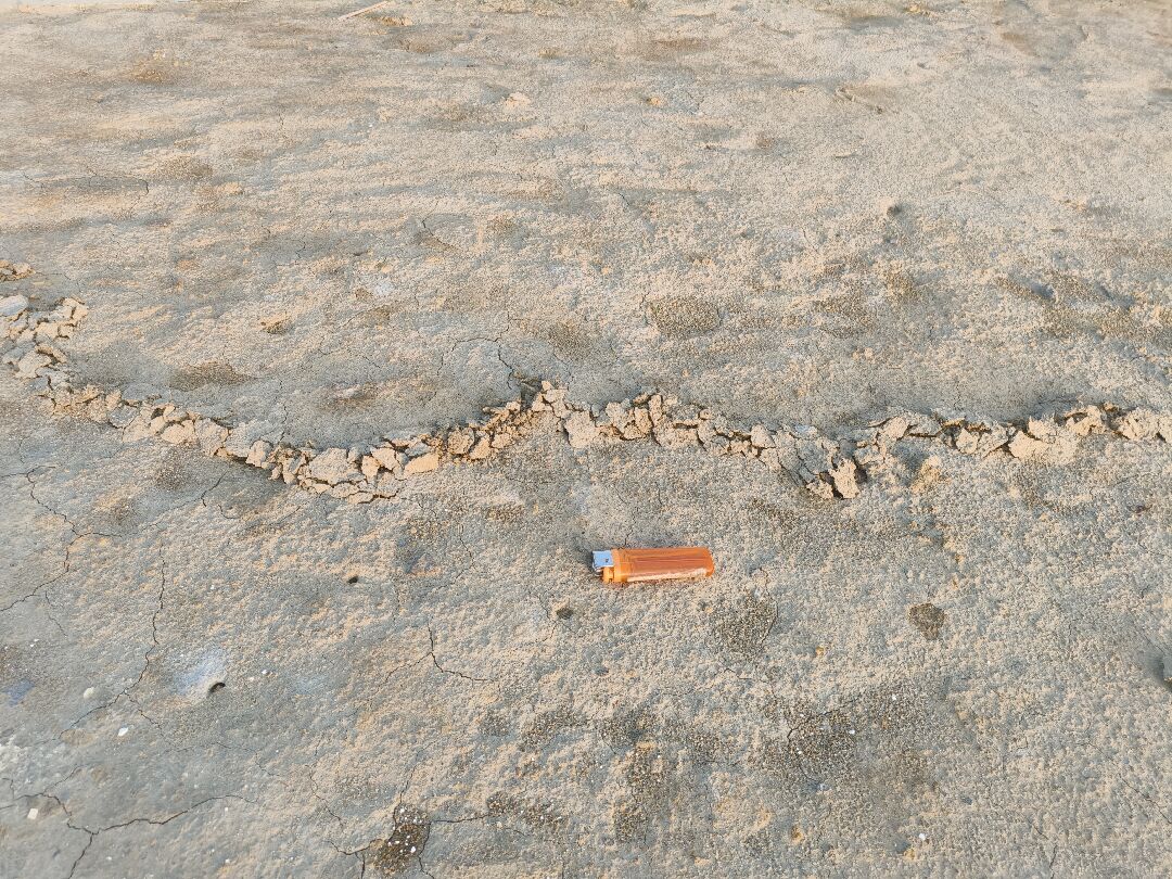 請問農地被不明生物鑽洞