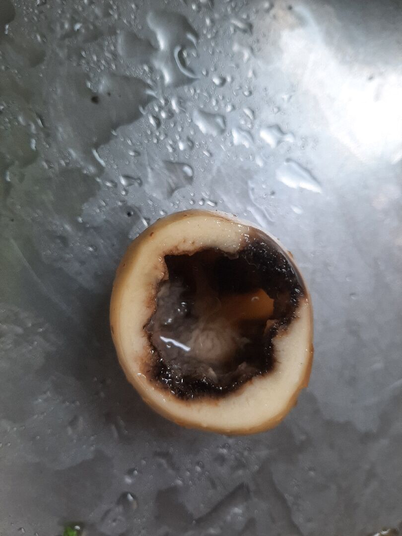 馬鈴薯內部爛掉