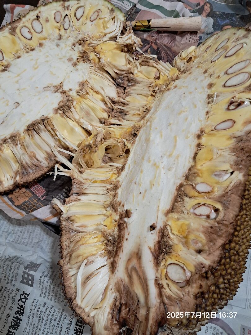 波羅蜜果實內部劣化