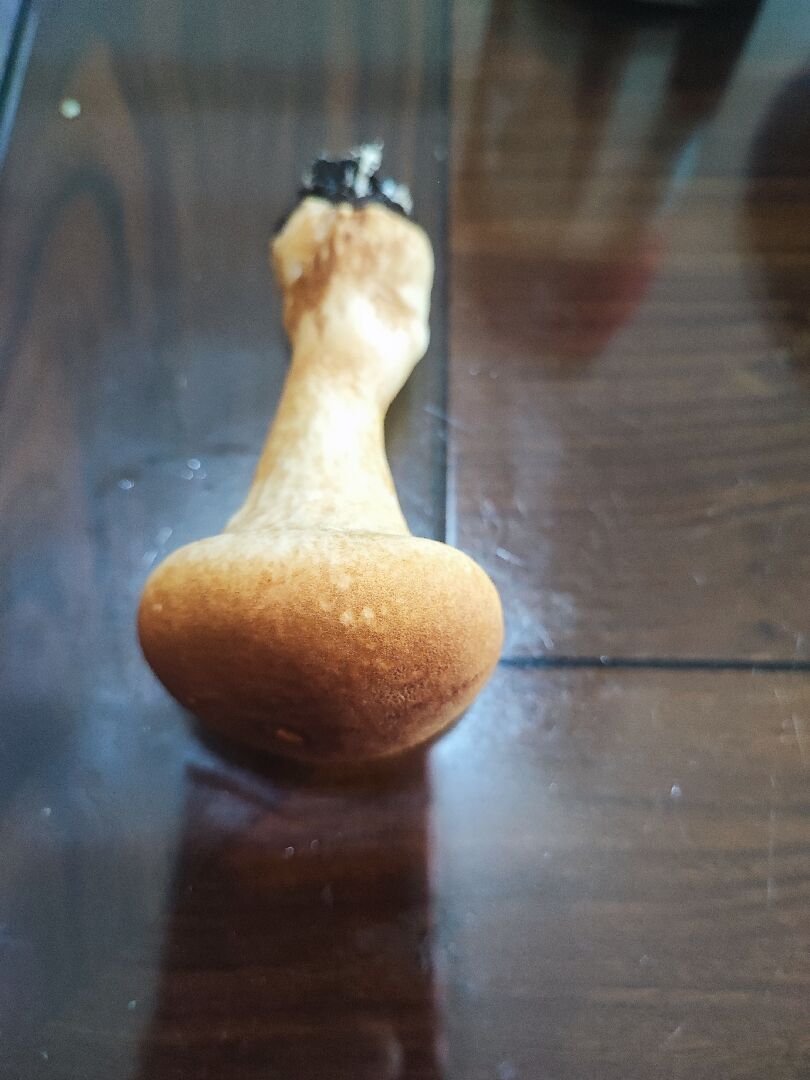 請問這是什麼菇，可以食用嗎