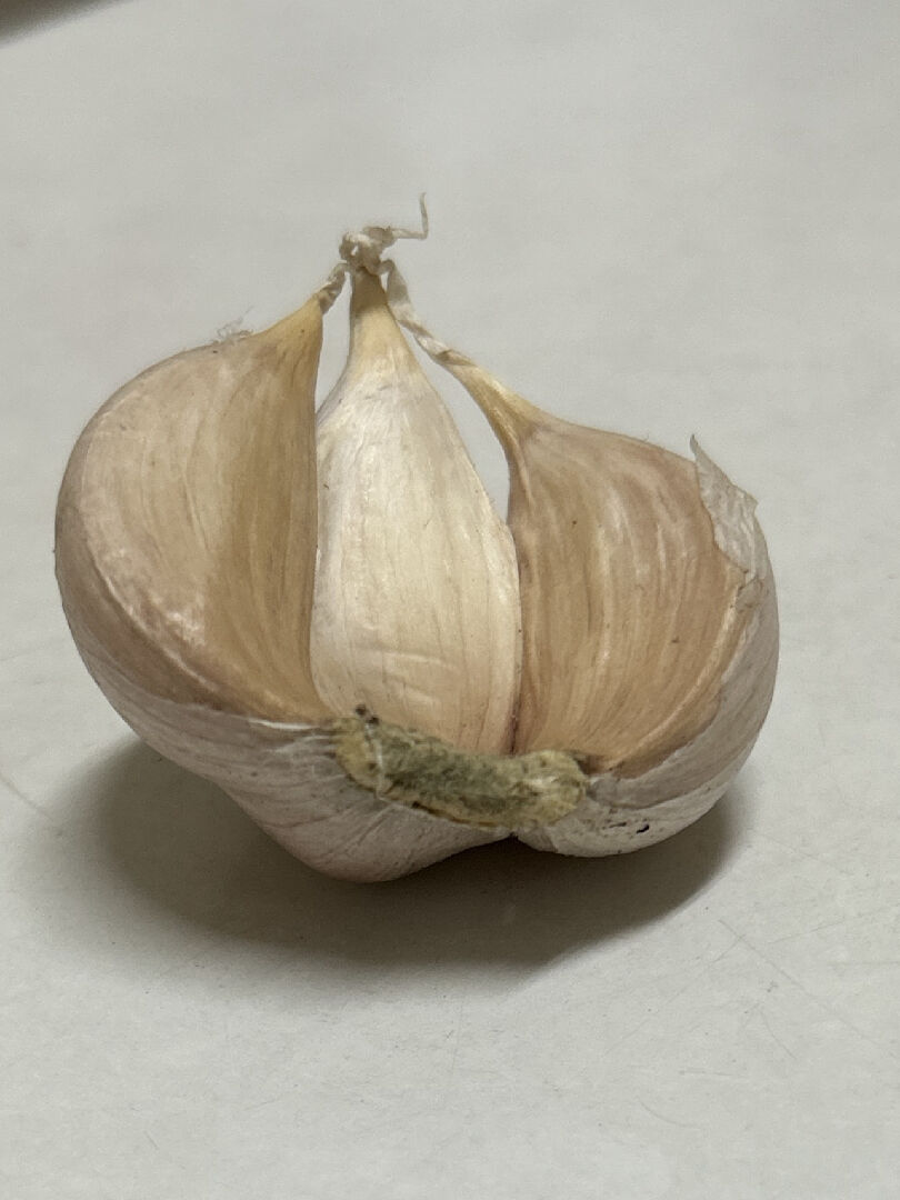 請問蒜頭前端長黑色的毛跟灰綠色的毛還能吃嗎？