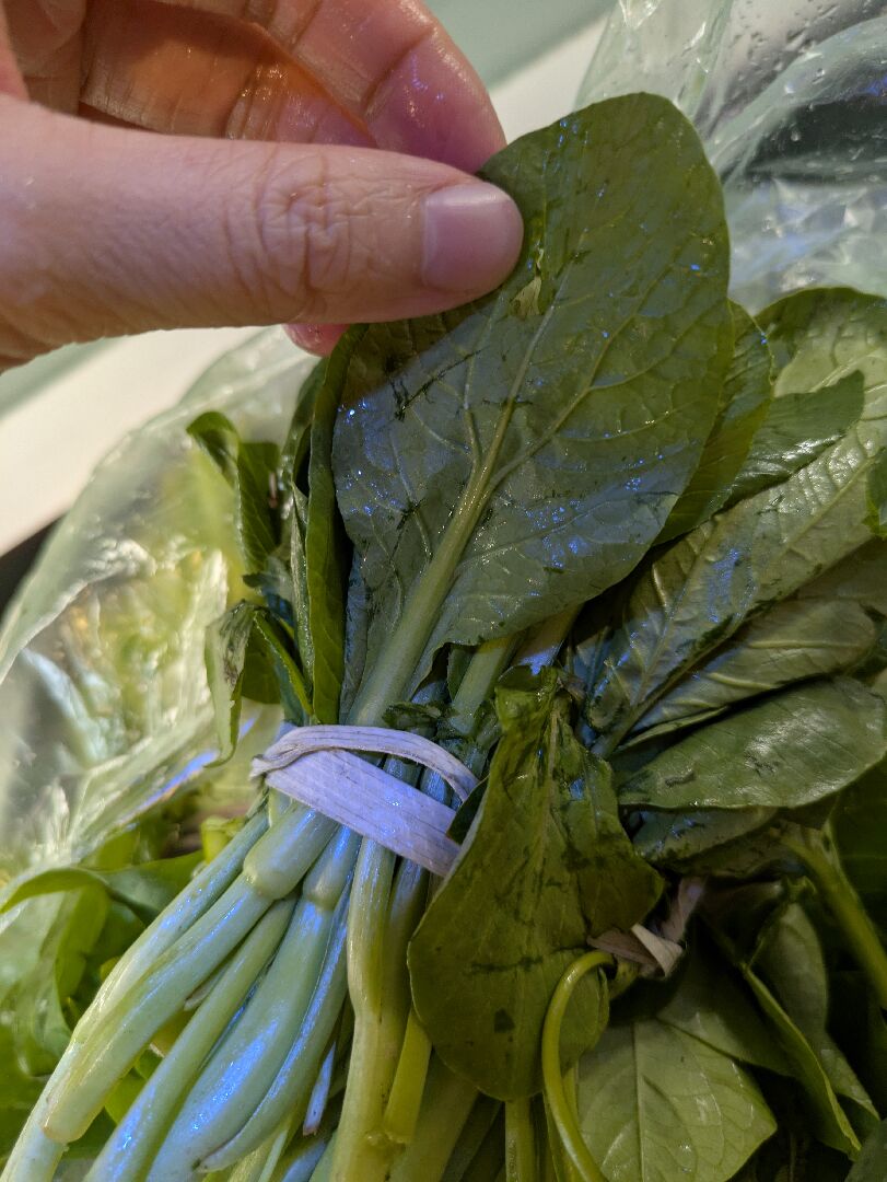 請問這是什麼青菜