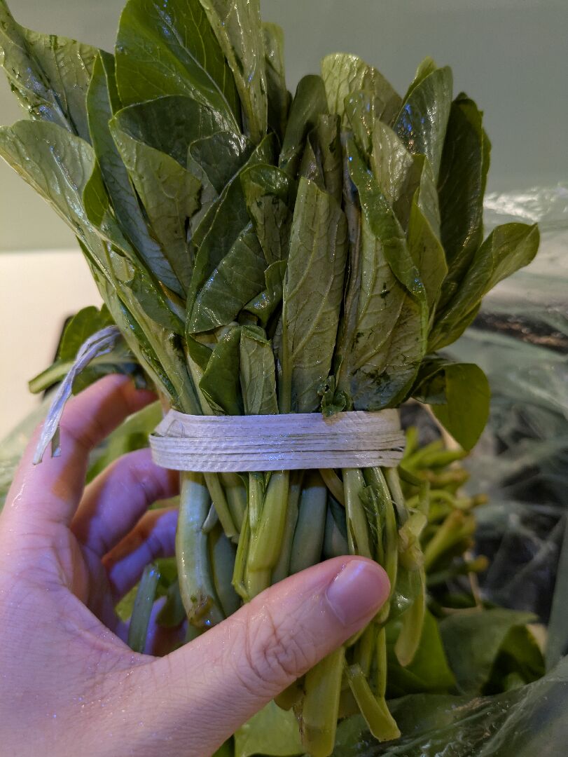 請問這是什麼青菜
